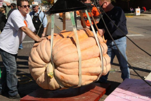 Weigh-in at Circleville Pumpkin Show