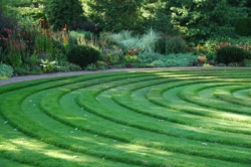 garden of circles