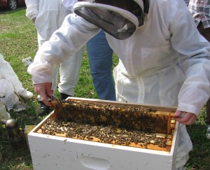 checking hive 2 4-18-09 resize
