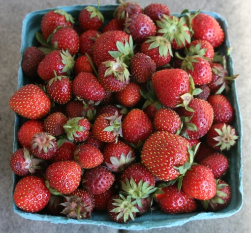 strawberry quart