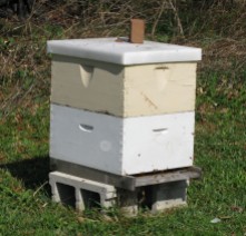 beehive at Conrad Hive and Honey 4-18-09
