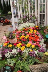 Floral bed at Cincinnati Flower Show