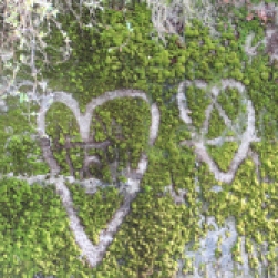 hearts-in-moss